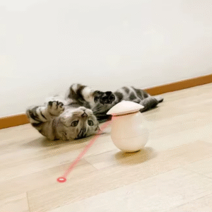 Activated Cat Laser Toy
