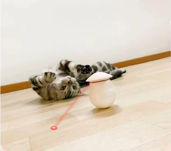 Activated Cat Laser Toy