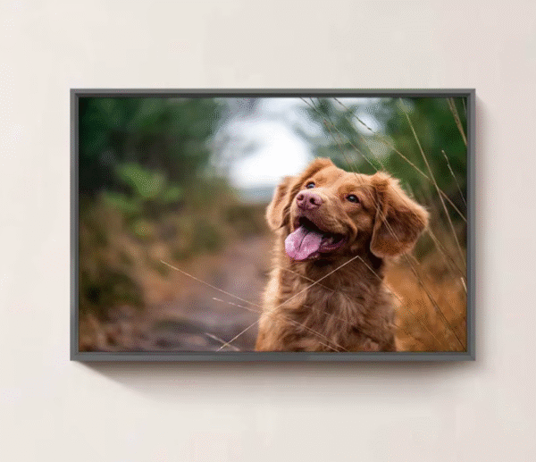 Pet Canvas Wall Art