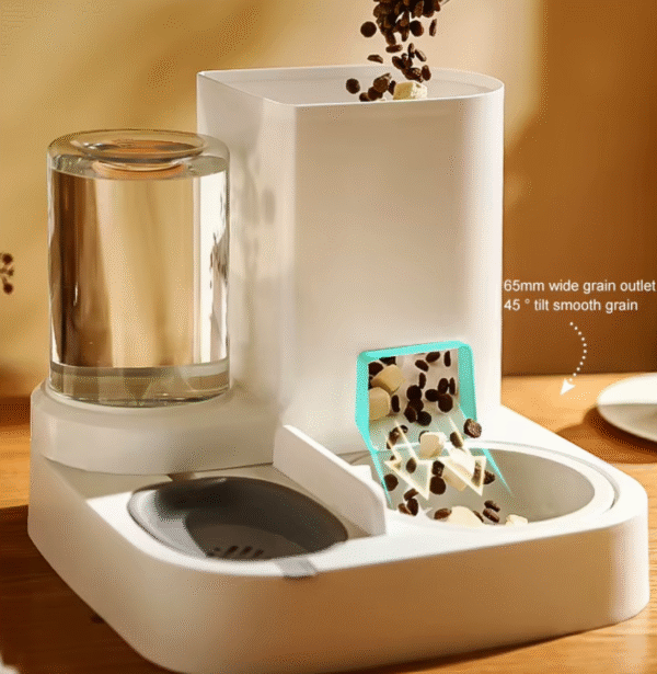 Pet Feeder-Drinker