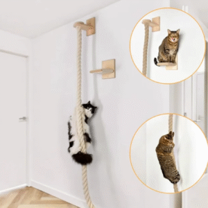 Cat Climbing Swing Set