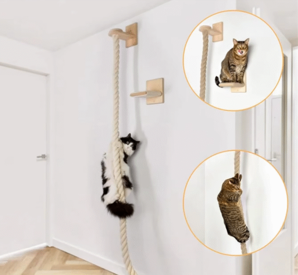 Cat Climbing Swing Set