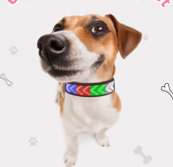 Luminous LED Dog Collar