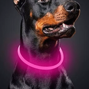 Glowing Dog Collar