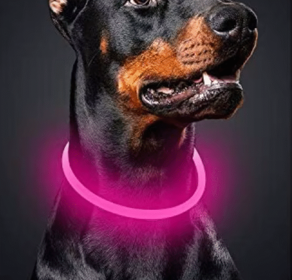 Glowing Dog Collar