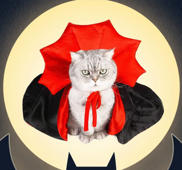 Pet Vampire Cloak
