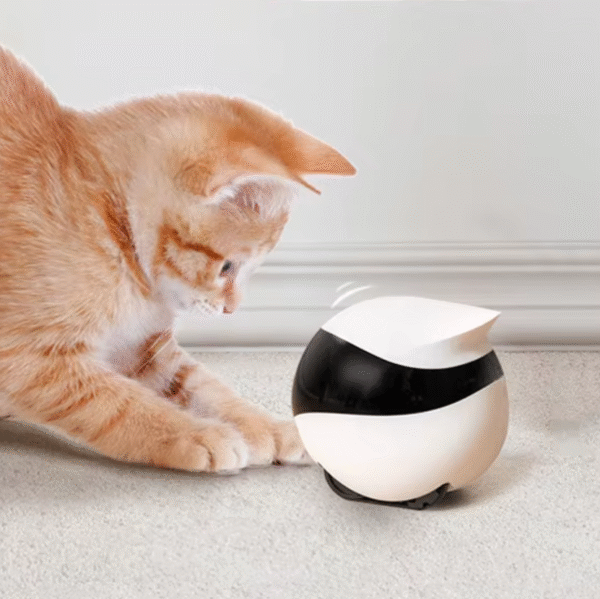 Interactive Pet Camera